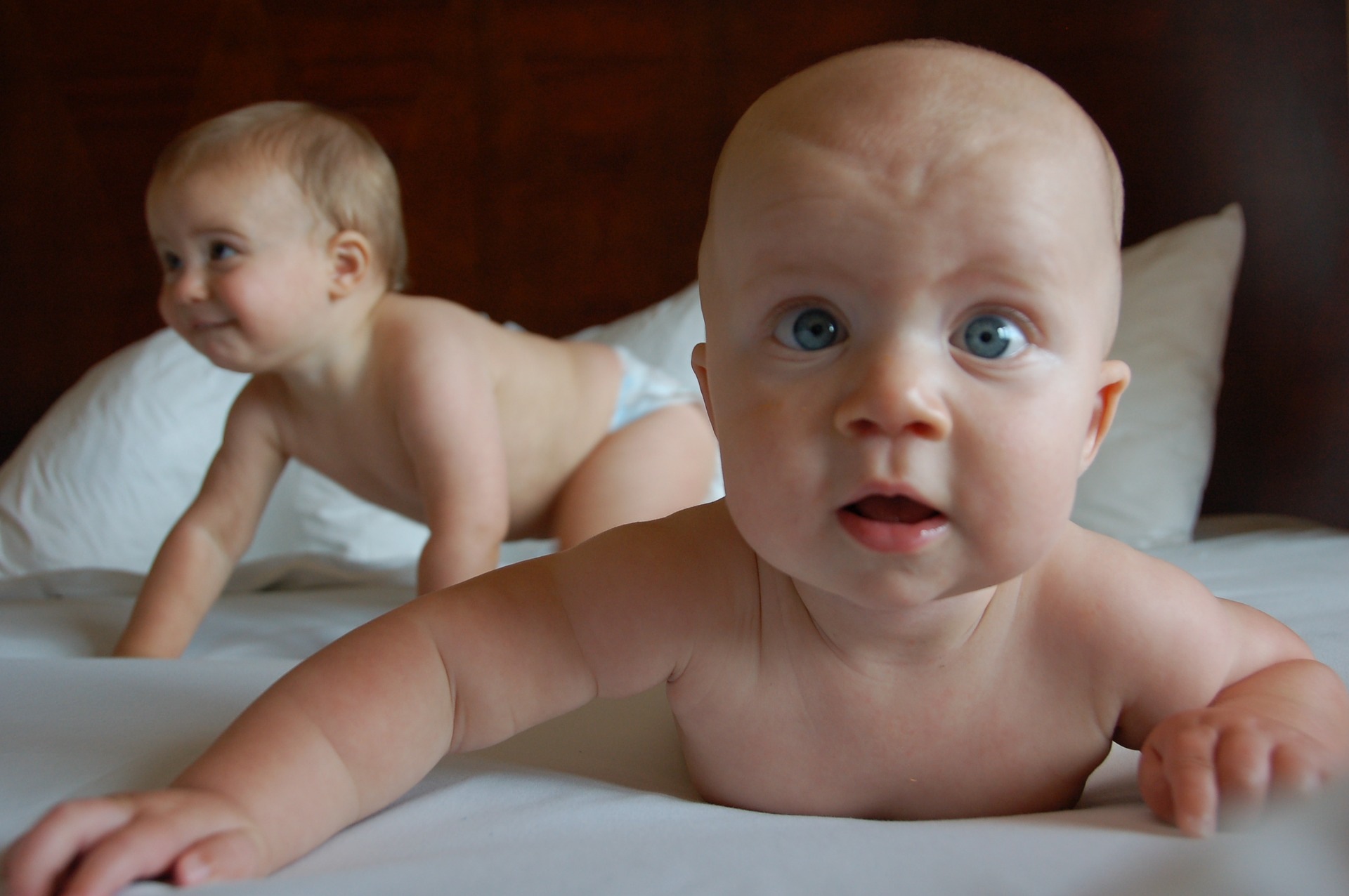 babies-2008822_1920